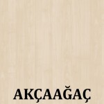 AKÇAAĞAÇ