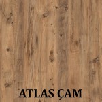 ATLAS ÇAM